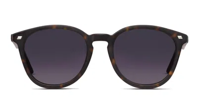 Le Specs Bio-metric Brown,tortoise