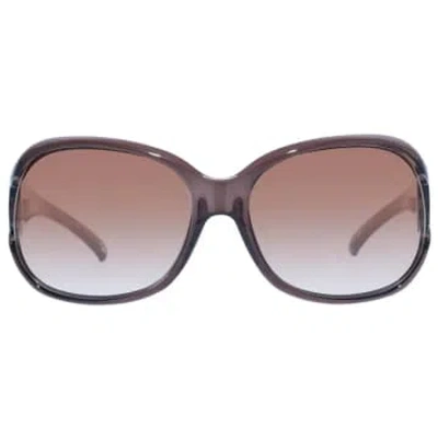 Le Specs Bolshy Limited Edition In Brown