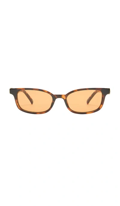 Le Specs 太阳镜