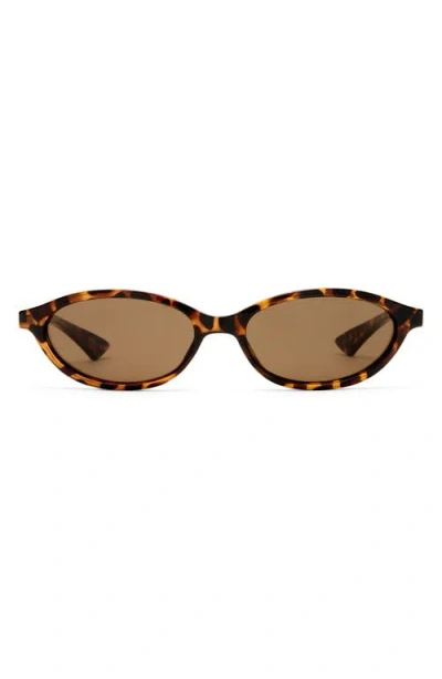 LE SPECS LE SPECS DUSKFALL 55MM OVAL SUNGLASSES