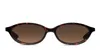 Le Specs Duskfall Tortoise In Tortoise