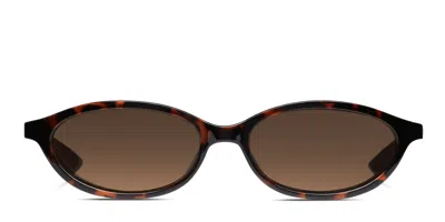 Le Specs Duskfall Tortoise