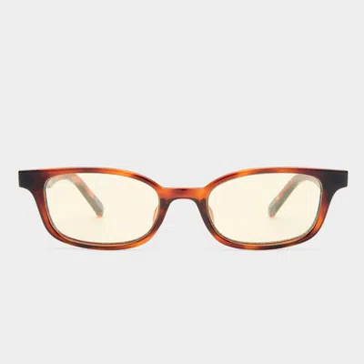 Le Specs Echelon +