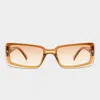 Le Specs Evasion