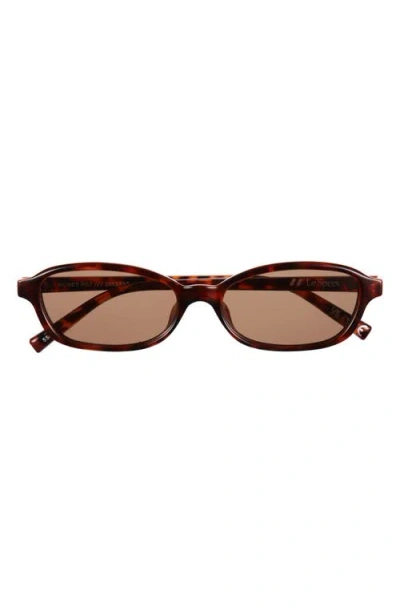 Le Specs Honey Pot 55mm Oval Sunglasses In Brown