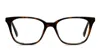 Le Specs Off Script Tortoise In Tortoise