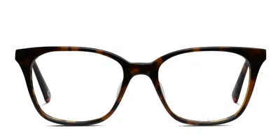 Le Specs Off Script Tortoise