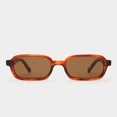 LE SPECS PILFERER