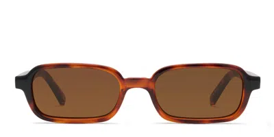 Le Specs Pilferer Tortoise