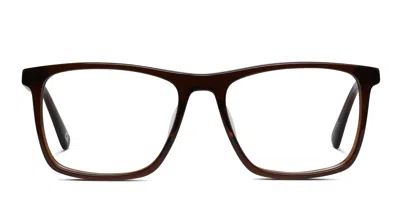 Le Specs Protocol Brown