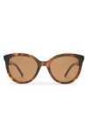 Le Specs The Muse Sunglasses In Brown