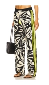 Le Superbe Bohemian Rhapsody Beach Boxer Pants In Multi