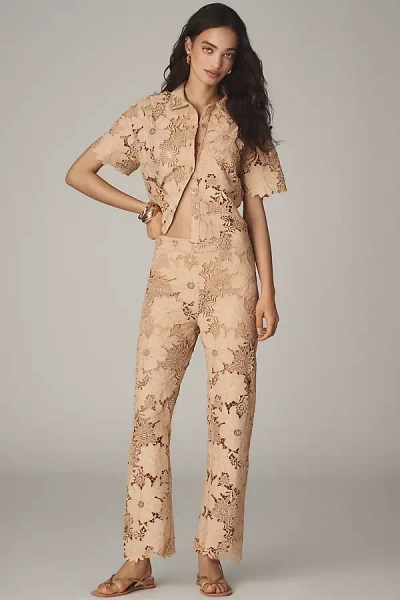 Le Superbe Suntan Camp Pants In Brown