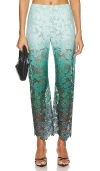 Le Superbe Trancas Pant In Trancas Ombre In Trancas Ombre