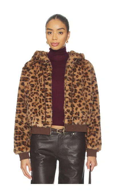 Le Superbe Windward Hoodie In Brown