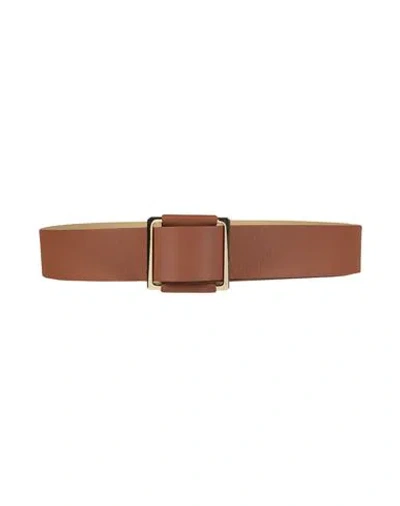 Le Tricot Perugia Woman Belt Brown Size L/xl Leather