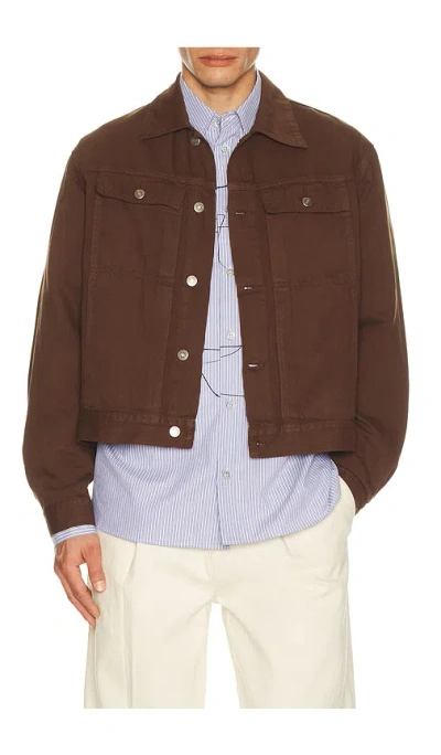 Le17septembre Denim Trucker Jacket In Brown