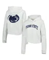 League Collegiate Wear Women's  Ash Penn State Nittany Lions 2-hit 1636 Cropped Pullover Hoodie In Ash