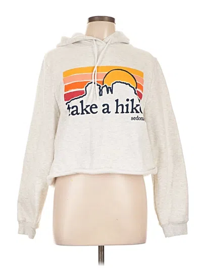 Pre-owned League Pullover Hoodie In Silver
