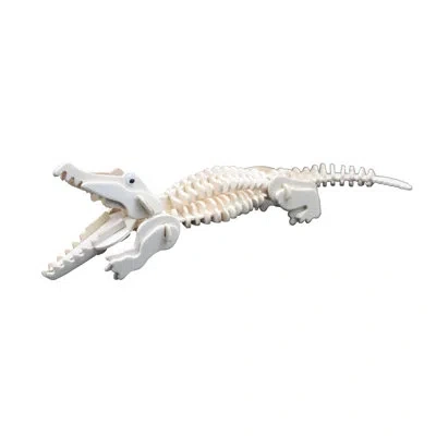 Learning Advantage Science Kit Educational Game