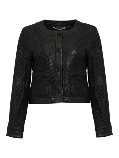 Leather Authority Whitney Perfo Jacket In Perforated Leather In Black