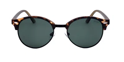 Lee Cooper Lc1012 C01 Men's Sunglasses Tortoiseshell Size 51