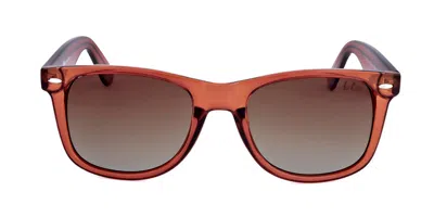 Lee Cooper Lc1018 C03 Men's Sunglasses Brown Size 52