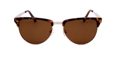 Lee Cooper Lc1026 C03 Men's Sunglasses Tortoiseshell Size 55
