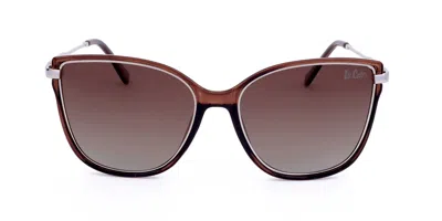 Lee Cooper Lc1036 C03 Women's Sunglasses Brown Size 52