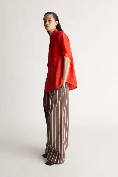 Lee Mathews George Pant In Chocolate