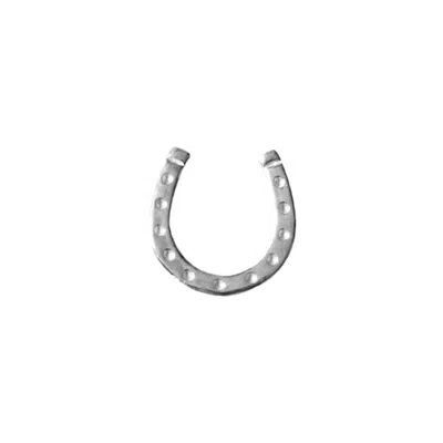 Lee Renee Men's Lucky Horseshoe Lapel Pin – Silver