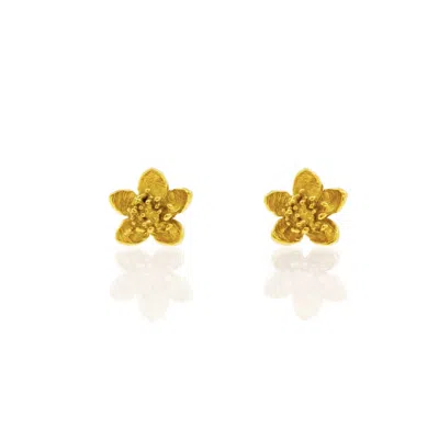 Lee Renee Women's Cherry Blossom Earrings – Gold