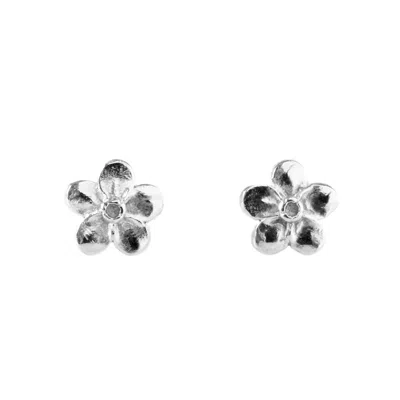 Lee Renee Women's Forget Me Not Earrings – Silver