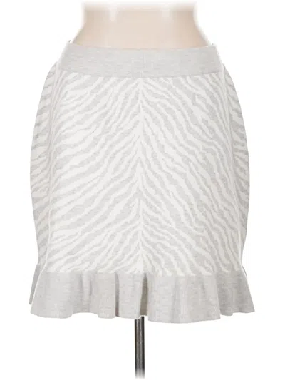 Pre-owned Left Coast By Dolan Casual Skirt In Silver