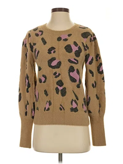 Pre-owned Left Coast By Dolan Pullover Sweater In Brown