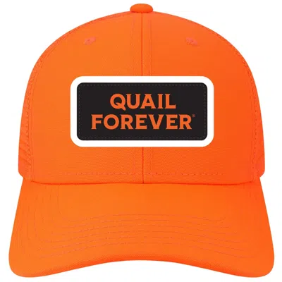 Legacy Adult Quail Forever Patch Snapback Hat In Orange