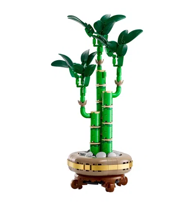 Lego Botanical Collection Lucky Bamboo 10344 In Green