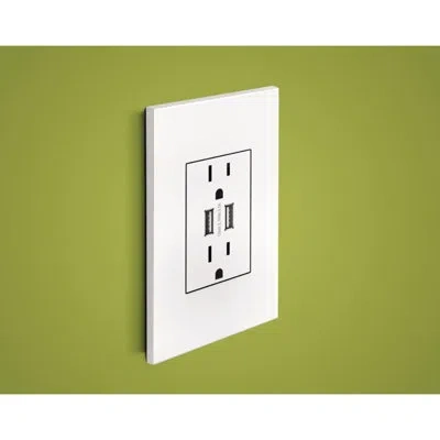 Legrand Adorne 1 -gang Specialty Size Powder White Plastic Indoor Screwless