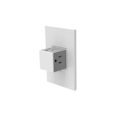 Legrand Adorne 15a 1-gang Tamper-resistant Pop-out Outlet In White