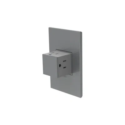 Legrand Adorne® 15a 1-gang Tamper-resistant Pop-out Outlet With Wall Plate In Magnesium Gray