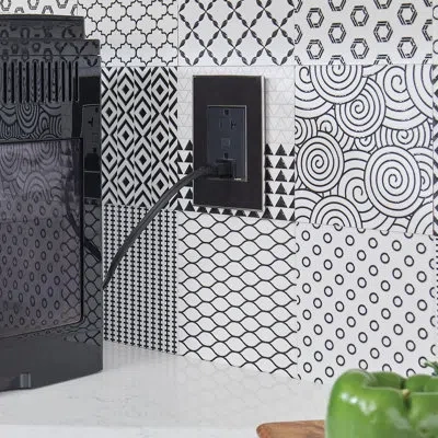 Legrand Adorne 20 Amp Plus Size Smart Outlet With Netatmo In Graphite