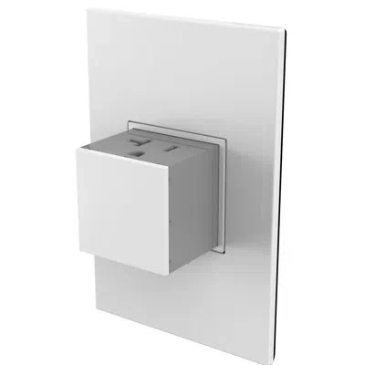 Legrand Adorne 20a 1-gang Tamper-resistant Pop-out Outlet In White