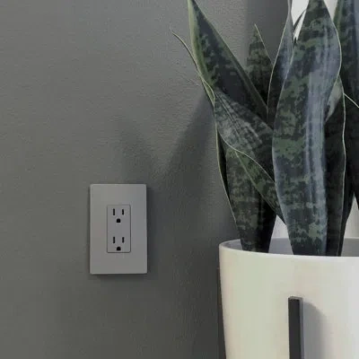 Legrand Radiant 15 Amp Tamper Resistant Decorator Duplex Receptacle Outlet