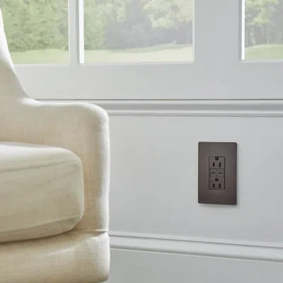 Legrand Radiant 15a Tamper-resistant With Ultra-fast 6.0a Usb Plus Power Delivery Type C/c Outlet In Dark Bronze