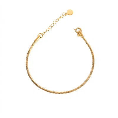 Lei & Mar Co. Women's Gold The Celine Snake Chain Bracelet