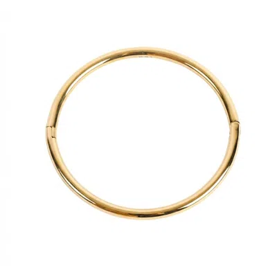 Lei & Mar Co. Women's Gold The Essence Bangle