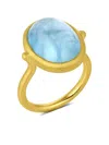 Leigh Maxwell 18k Yellow Gold The Og Aquamarine Ring In Gold