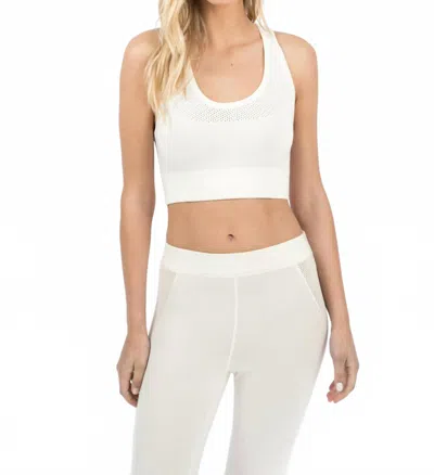Leimere Crop Bralette W/ Mesh In Marshmallow In White
