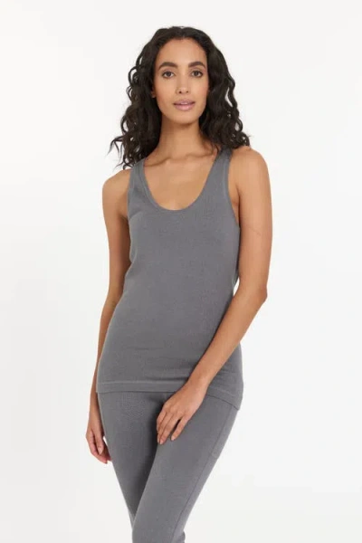 Leimere Tucson Tank In Gray