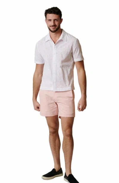 Leisure Lab Stretch Cotton Chino Shorts In Multi